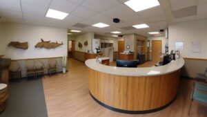 Cosmetic Surgery Clinics in Kingston, Ontario